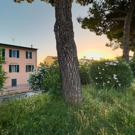 Апартаменты La Casa Di Eli Пиза